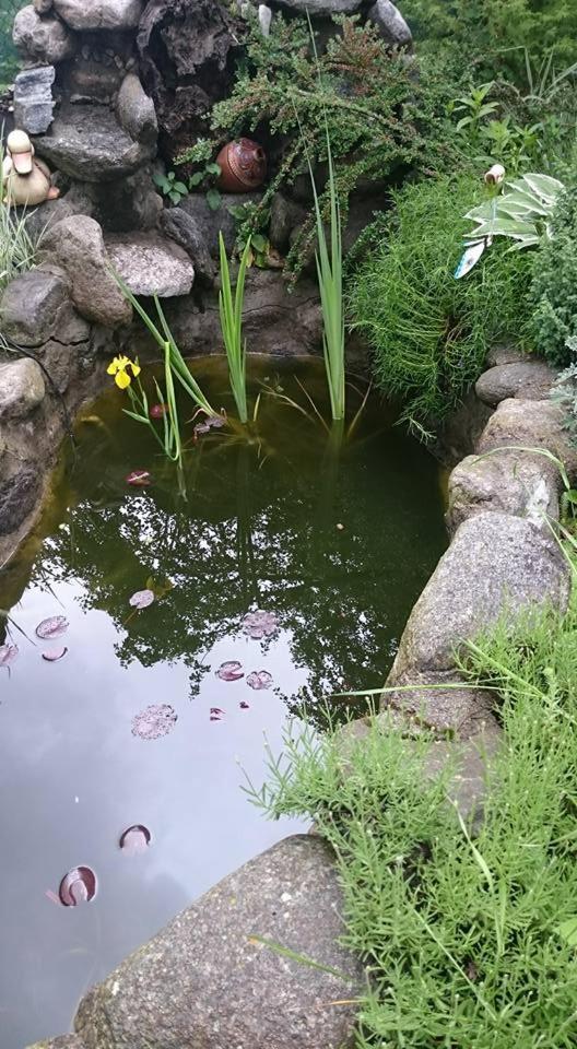 Veselata Guest House 돌나반야 외부 사진