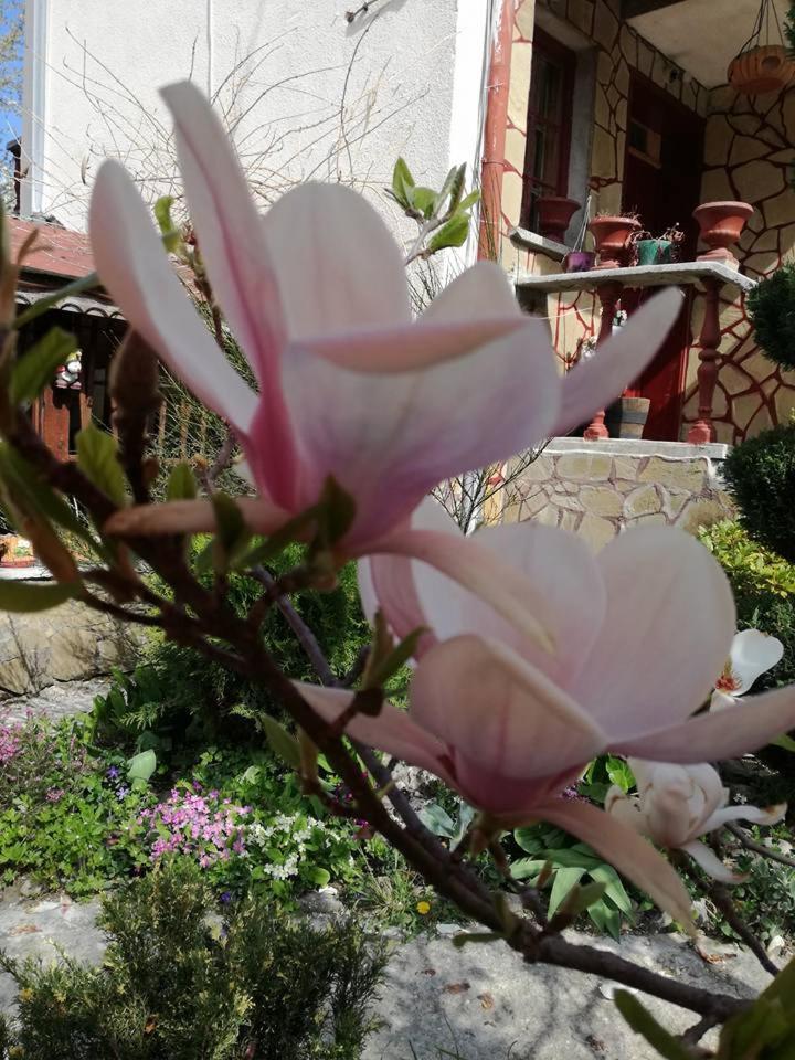 Veselata Guest House 돌나반야 외부 사진